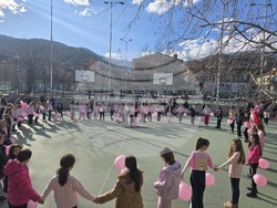 Ден на розовата фланелка - Трето основно училище „Гоце Делчев"