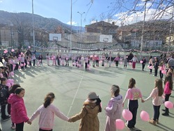 Ден на розовата фланелка - Трето основно училище „Гоце Делчев"