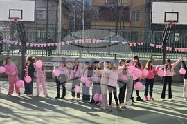 Ден на розовата фланелка - Трето основно училище „Гоце Делчев"