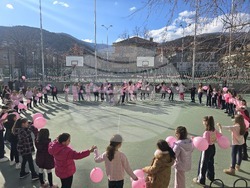 Ден на розовата фланелка - Трето основно училище „Гоце Делчев"