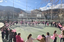 Ден на розовата фланелка - Трето основно училище „Гоце Делчев"