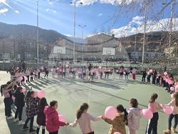 Ден на розовата фланелка - Трето основно училище „Гоце Делчев"