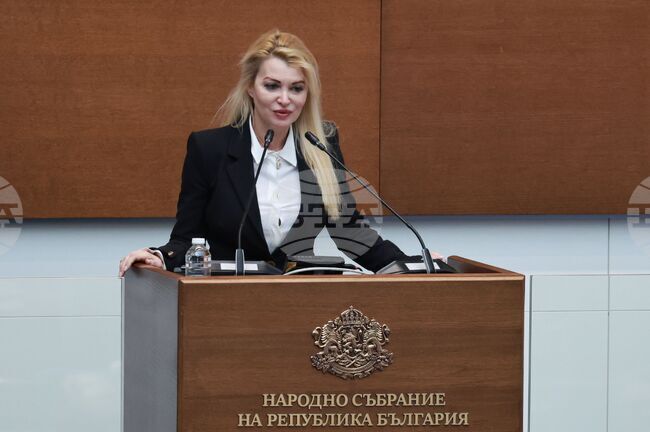 Velichie Supports Presidential Veto as Election Code Revisions Affect Rights of Bulgarian Citizens Abroad