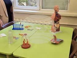 Плевен - ПГТ „Проф. Цветан Лазаров“ - STEM кабинети