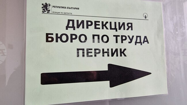 Работни места за фармацевт, психолог и счетоводител са обявени в Бюрото по труда в Перник