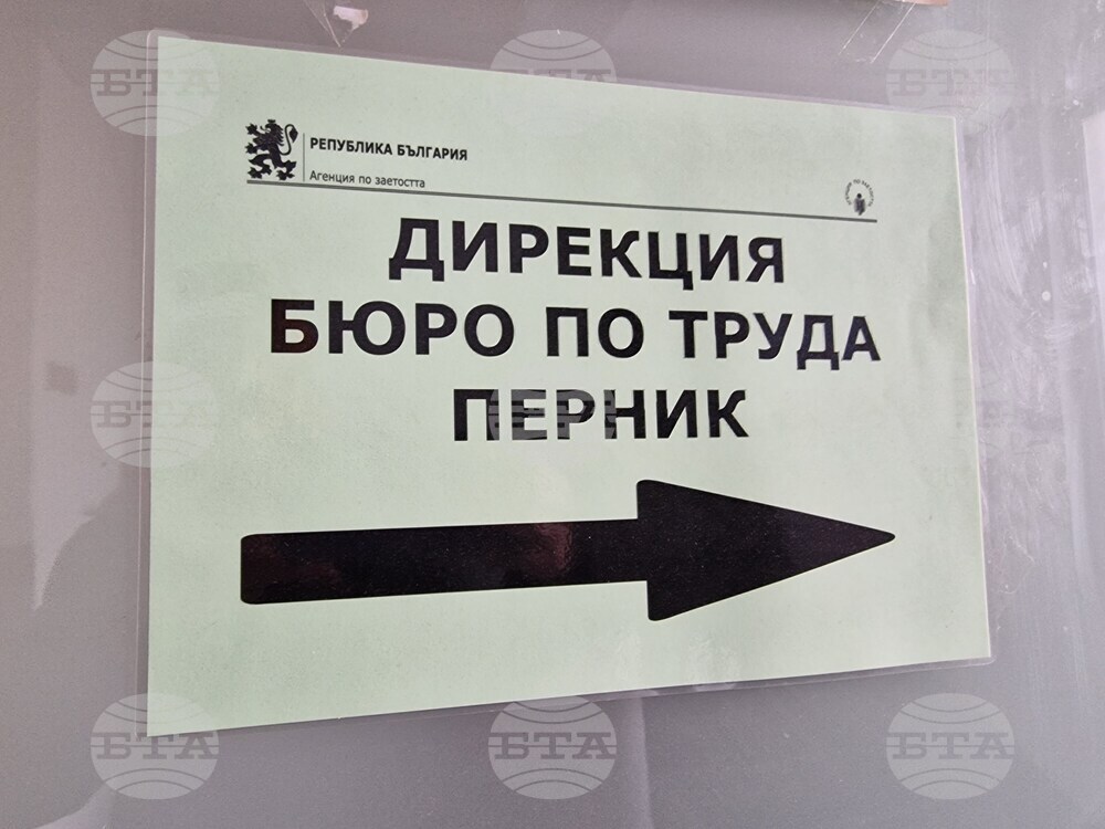 Работни места за фармацевт, психолог и счетоводител са обявени в Бюрото по труда в Перник