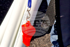 Румъния - Букурещ - образование - протест