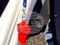 Румъния - Букурещ - образование - протест