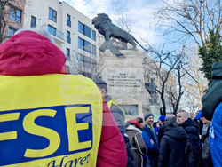 Румъния - Букурещ - образование - протест