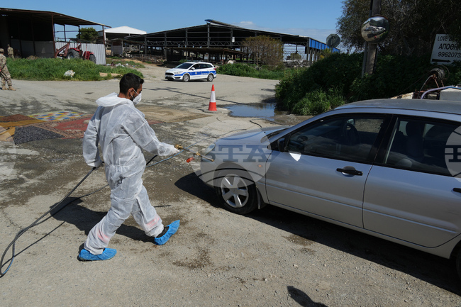 Проблемът с разпространението на шап в Кипър се задълбочава; над сто са заразените ферми 