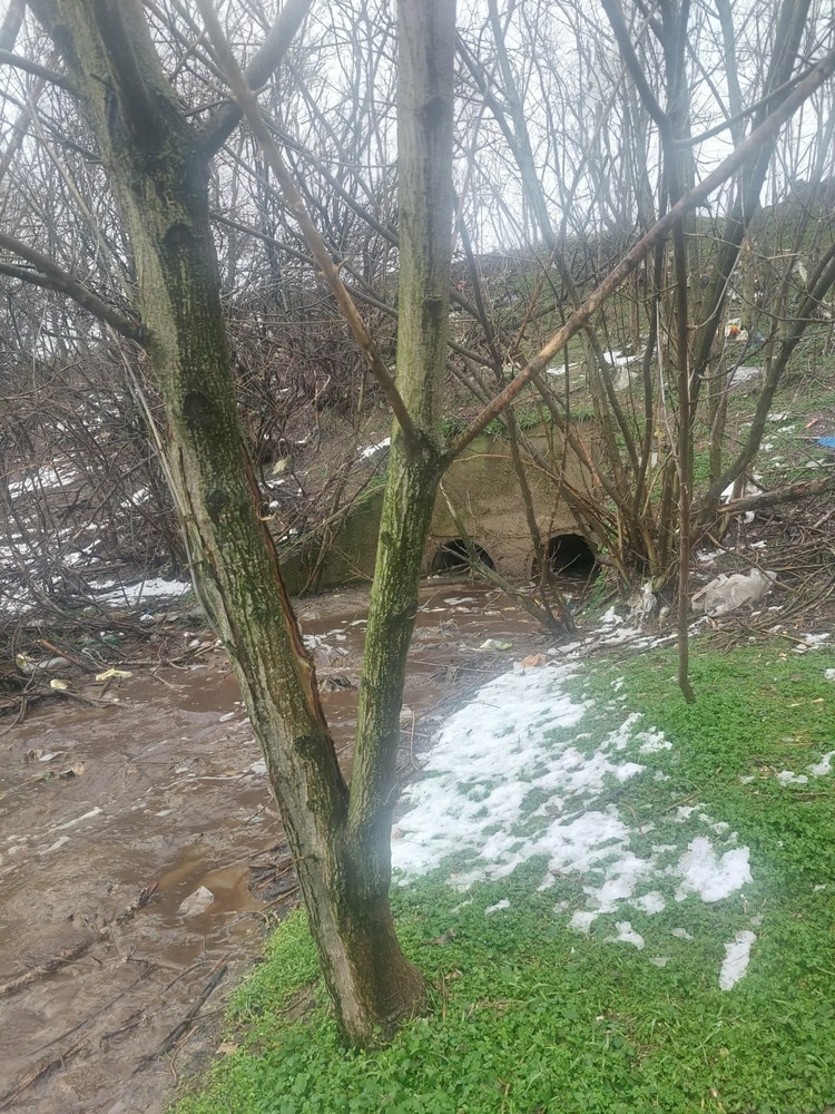 Не е открита опасност за околната среда при проверка на сигнал за тъмни води в района на депото за отпадъци в Русе