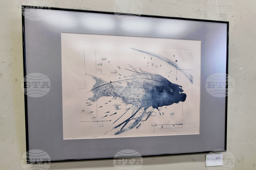 Велико Търново - изложба „Балкански калейдоскоп“