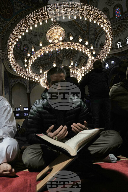 Top Vertical Photos Photo Gallery