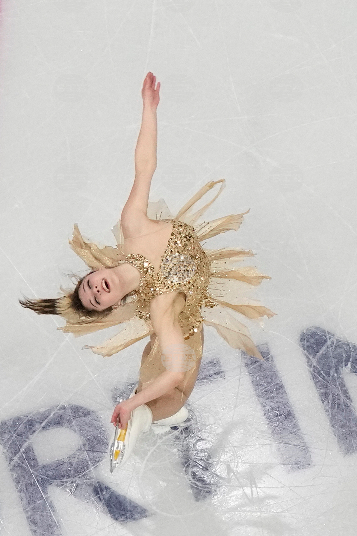 Top Vertical Photos Photo Gallery