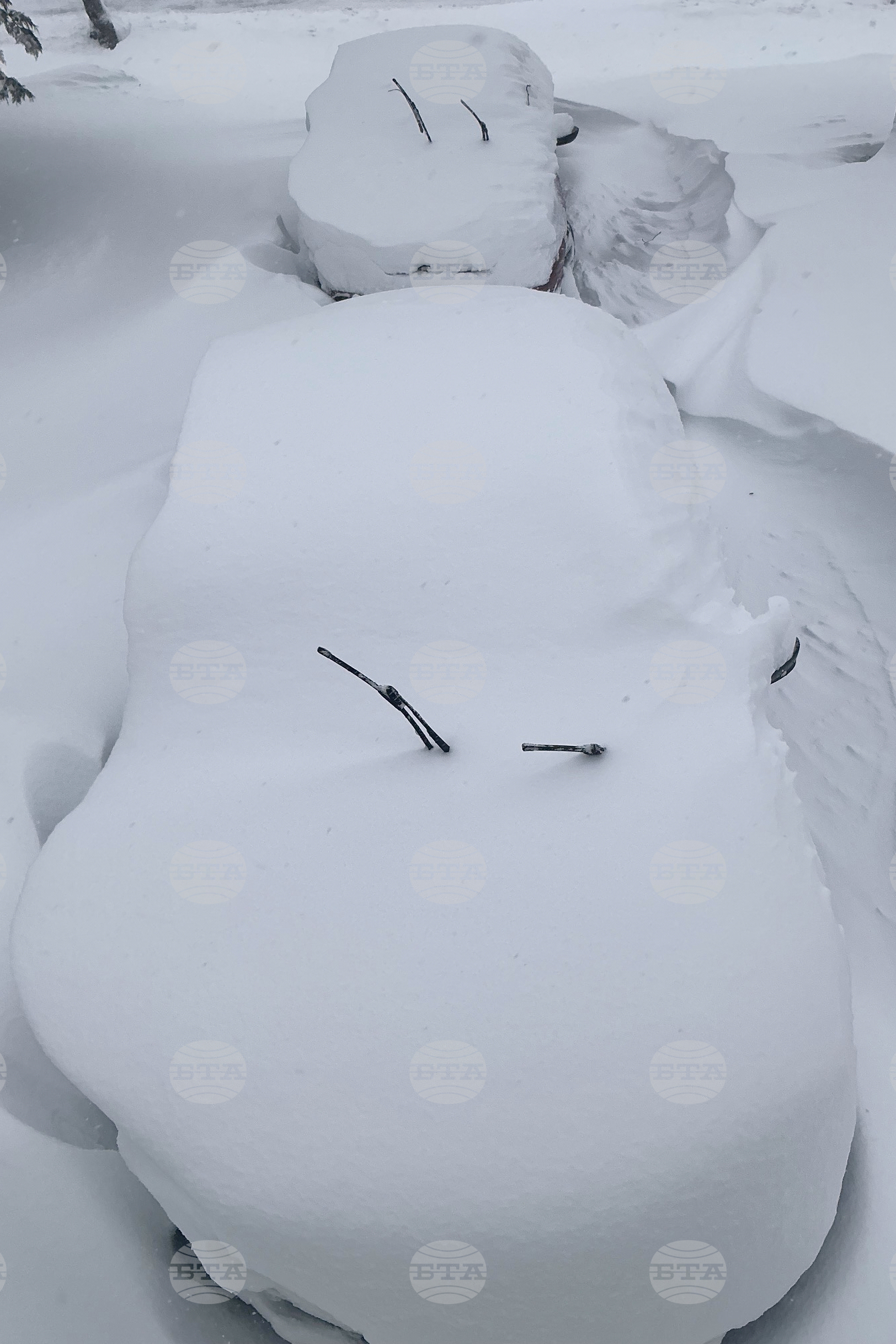 Top Vertical Photos Photo Gallery