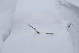 Top Vertical Photos Photo Gallery