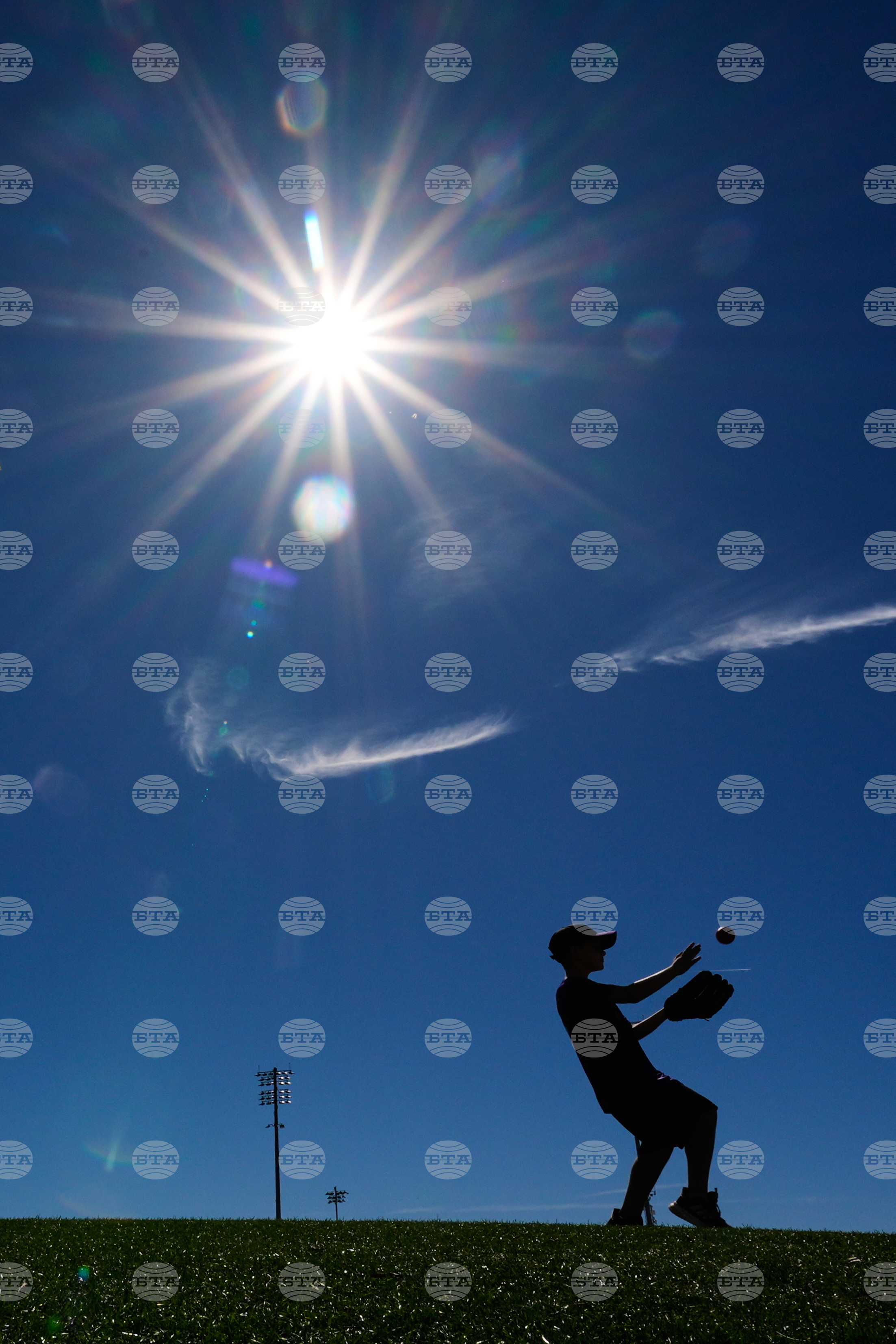 Top Vertical Photos Photo Gallery