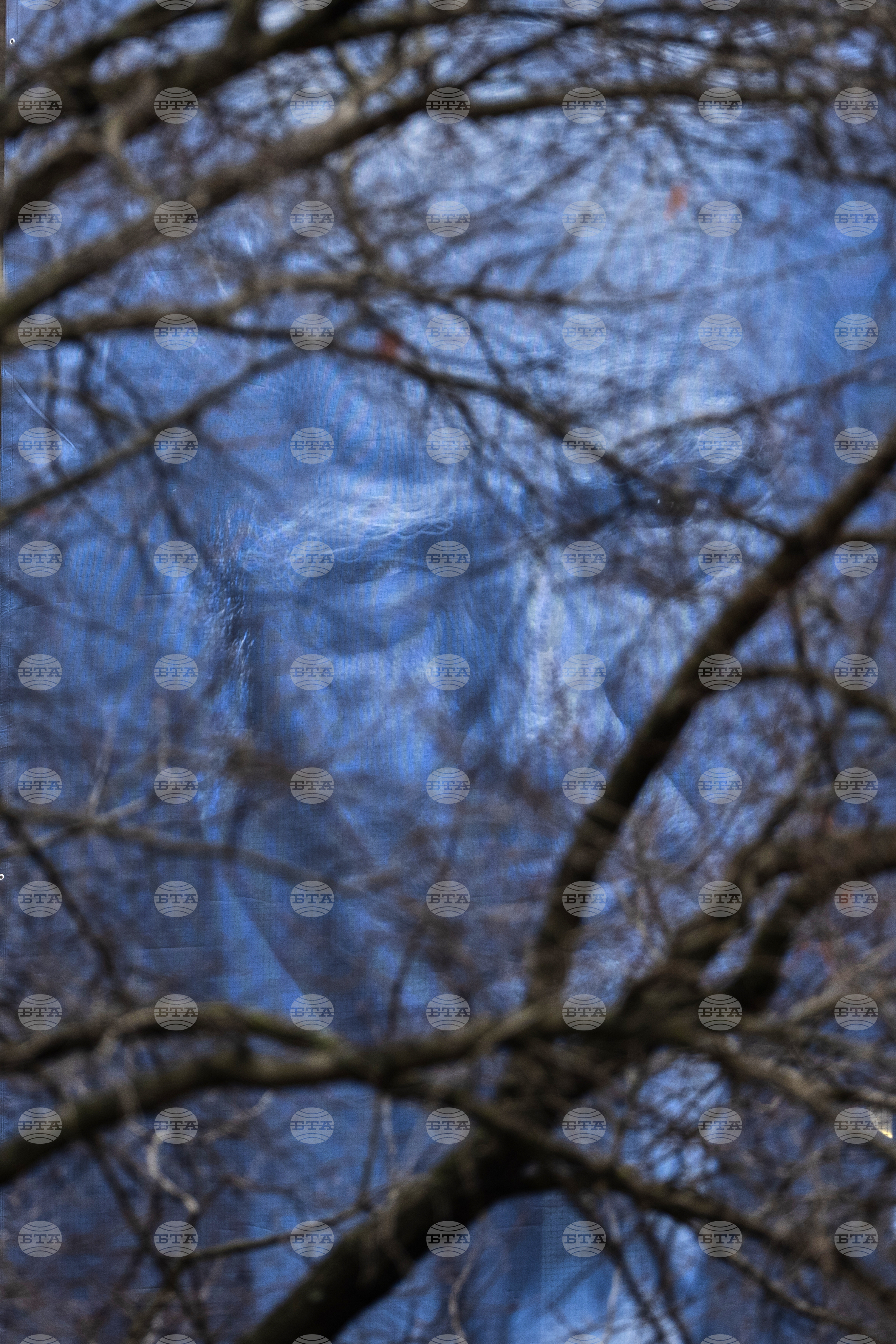 Top Vertical Photos Photo Gallery