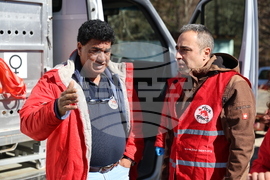 Парк за мечки Белица - спасителна мисия