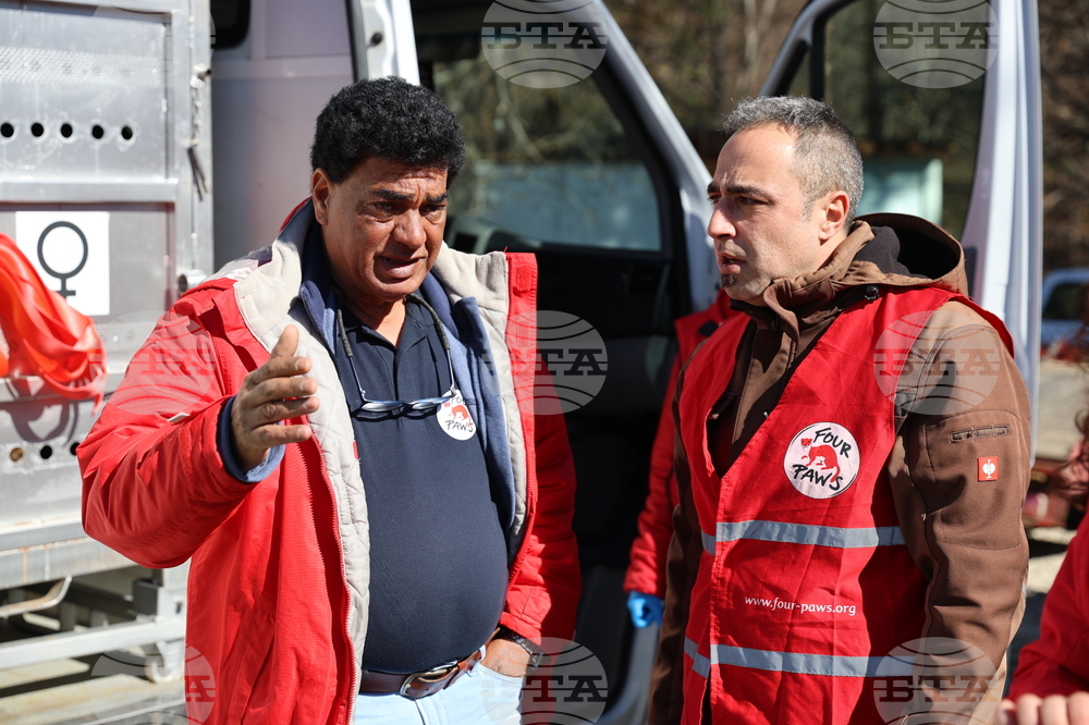 Парк за мечки Белица - спасителна мисия