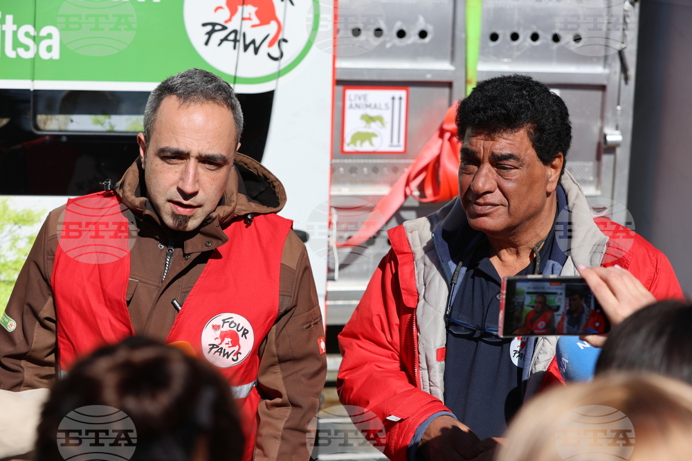 Парк за мечки Белица - спасителна мисия