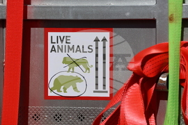 Парк за мечки Белица - спасителна мисия