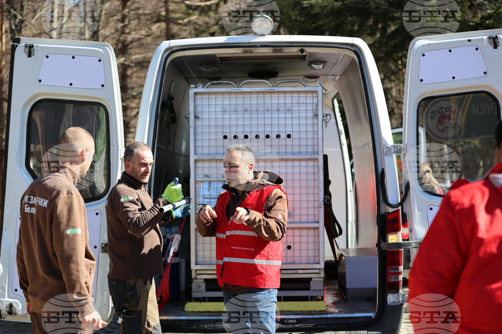 Парк за мечки Белица - спасителна мисия