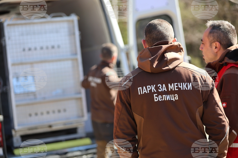 Парк за мечки Белица - спасителна мисия