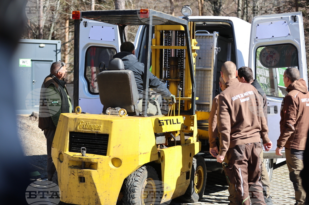 Парк за мечки Белица - спасителна мисия