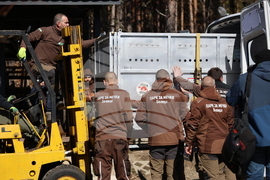 Парк за мечки Белица - спасителна мисия