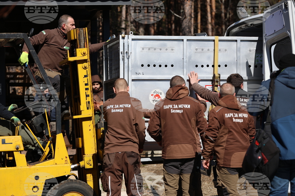 Парк за мечки Белица - спасителна мисия