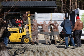 Парк за мечки Белица - спасителна мисия