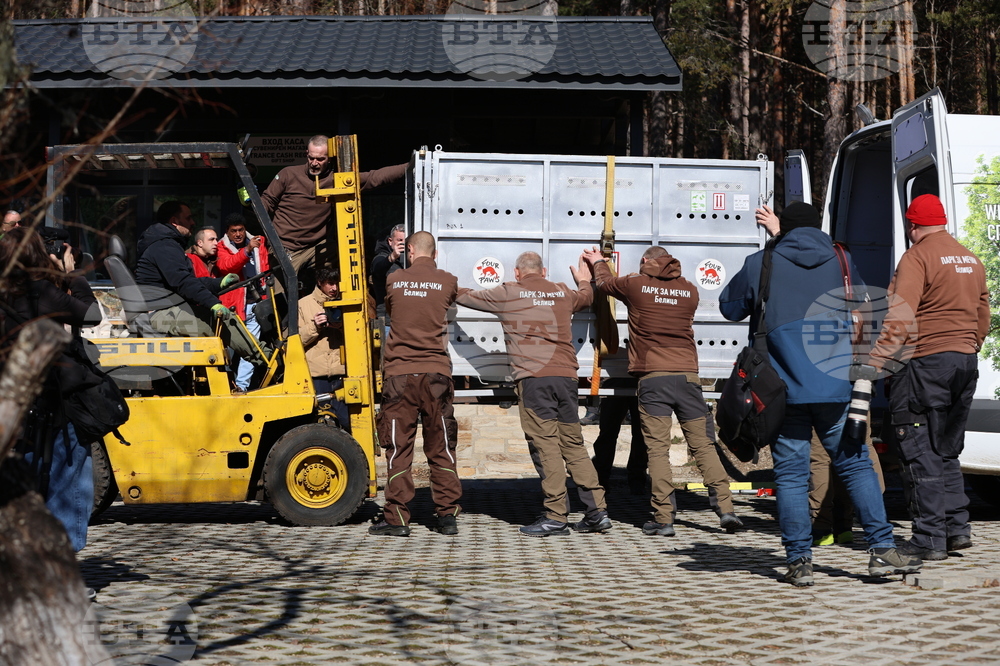 Парк за мечки Белица - спасителна мисия