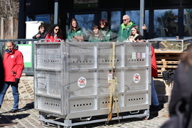 Парк за мечки Белица - спасителна мисия