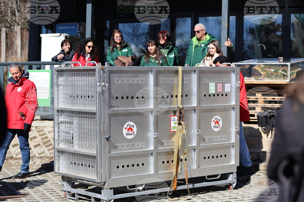 Парк за мечки Белица - спасителна мисия