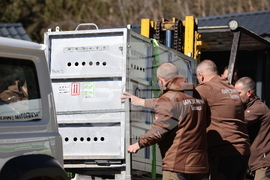 Парк за мечки Белица - спасителна мисия