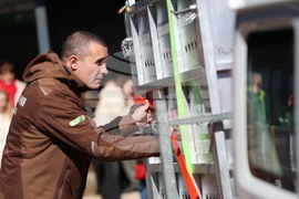 Парк за мечки Белица - спасителна мисия