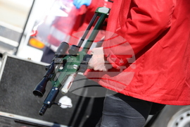 Парк за мечки Белица - спасителна мисия