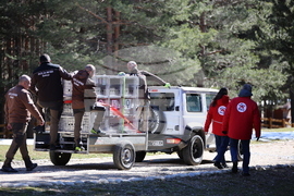 Парк за мечки Белица - спасителна мисия