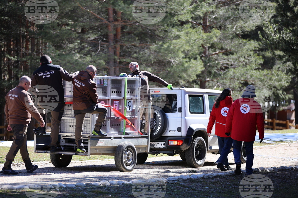 Парк за мечки Белица - спасителна мисия
