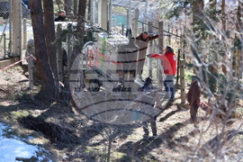 Парк за мечки Белица - спасителна мисия