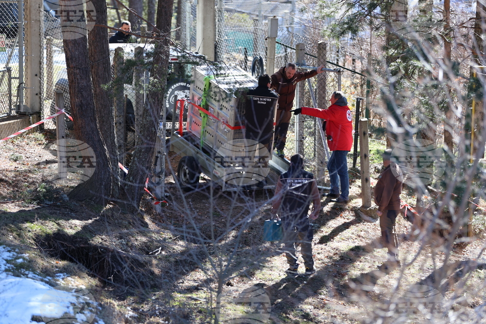 Парк за мечки Белица - спасителна мисия