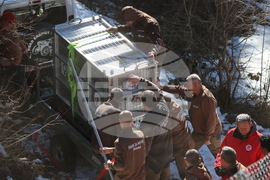 Парк за мечки Белица - спасителна мисия