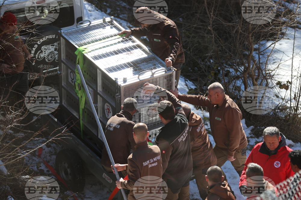 Парк за мечки Белица - спасителна мисия