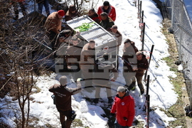 Парк за мечки Белица - спасителна мисия