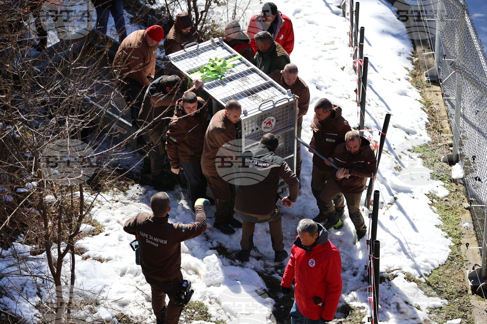 Парк за мечки Белица - спасителна мисия