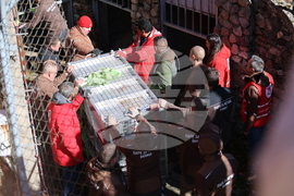 Парк за мечки Белица - спасителна мисия