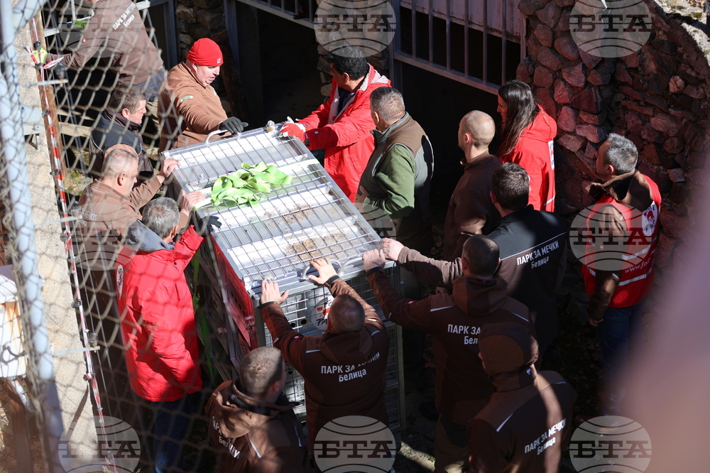 Парк за мечки Белица - спасителна мисия