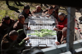 Парк за мечки Белица - спасителна мисия