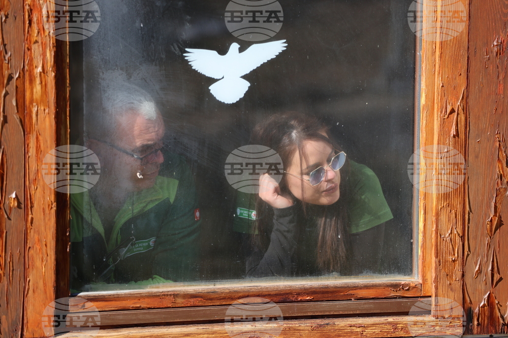 Парк за мечки Белица - спасителна мисия